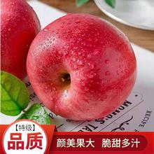 脆蘋果水果陝西紅富士新鮮甜白水有機10斤整箱當季平廠家批發代發