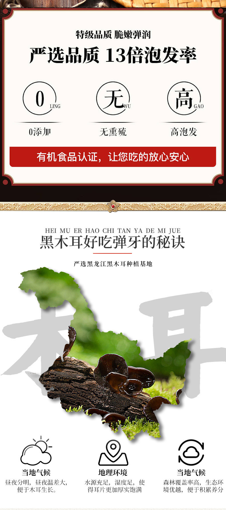 Dried Black Fungus Mu Er 东北黑木耳 50g Bottle Wild Wood Ear Mushroom for Soup and Stir Fry key features