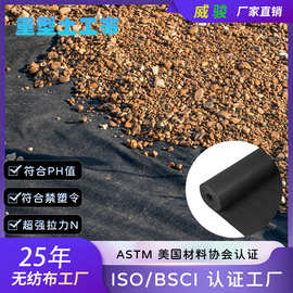 130g220g440N花园杂草控制布垫黑色白色土木工程土工布防水防草布
