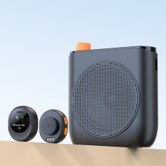 新型の25年の外国貿易の無線のクリップのマイクのガイドの拡声器の教師の授業の専用の小さい蜂のマイク