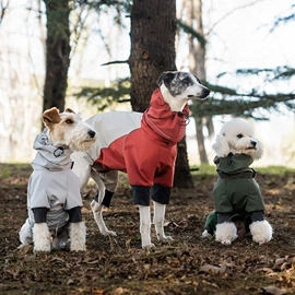 狗狗服装;狗狗牵引
