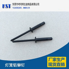 铆钉;螺母