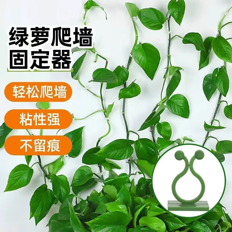Green Plant Holder, No-Drill, Traceless Wall Climbing Clip Ring, Green Branch Shaping Hook, Green Vine Wall Climber