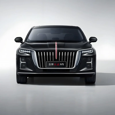 Red Flag H5 Black Warrior Zhongwang - 23-26-h5-original-car-model-grille