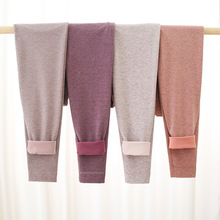 德绒秋裤女春秋内穿打底裤薄款加肥七彩棉美体线裤衬裤冬季保暖裤