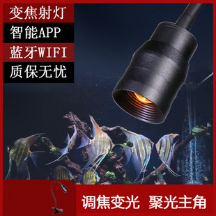 Zoom Fish Tank Spotlight, Special Lighting for South American Landscaping, Native Three-Lake Fish Tank Light, Small Clip Light, Free Shipping