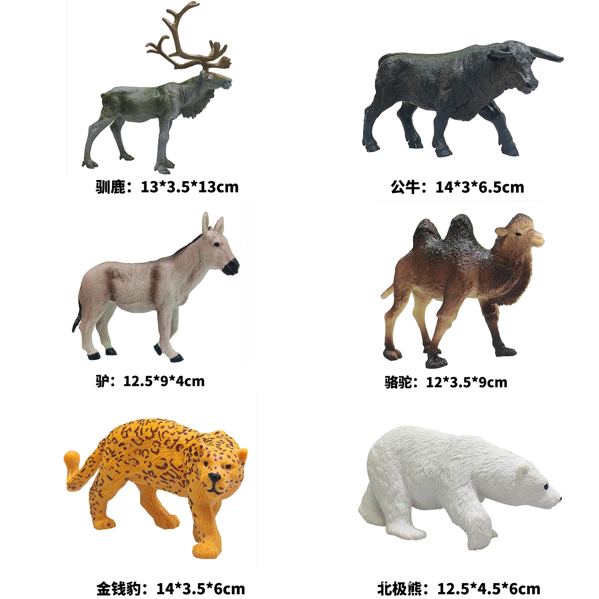 Materiales educativos infantiles transfronterizos, set de juguetes de modelos de dinosaurios y vida marina realistas pintados a mano para ciencia y educación.