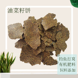 ���l�ЙC���ϲ����Ϳ�������ӵ��ײ������~��C�Ͳ�����Ϳ�