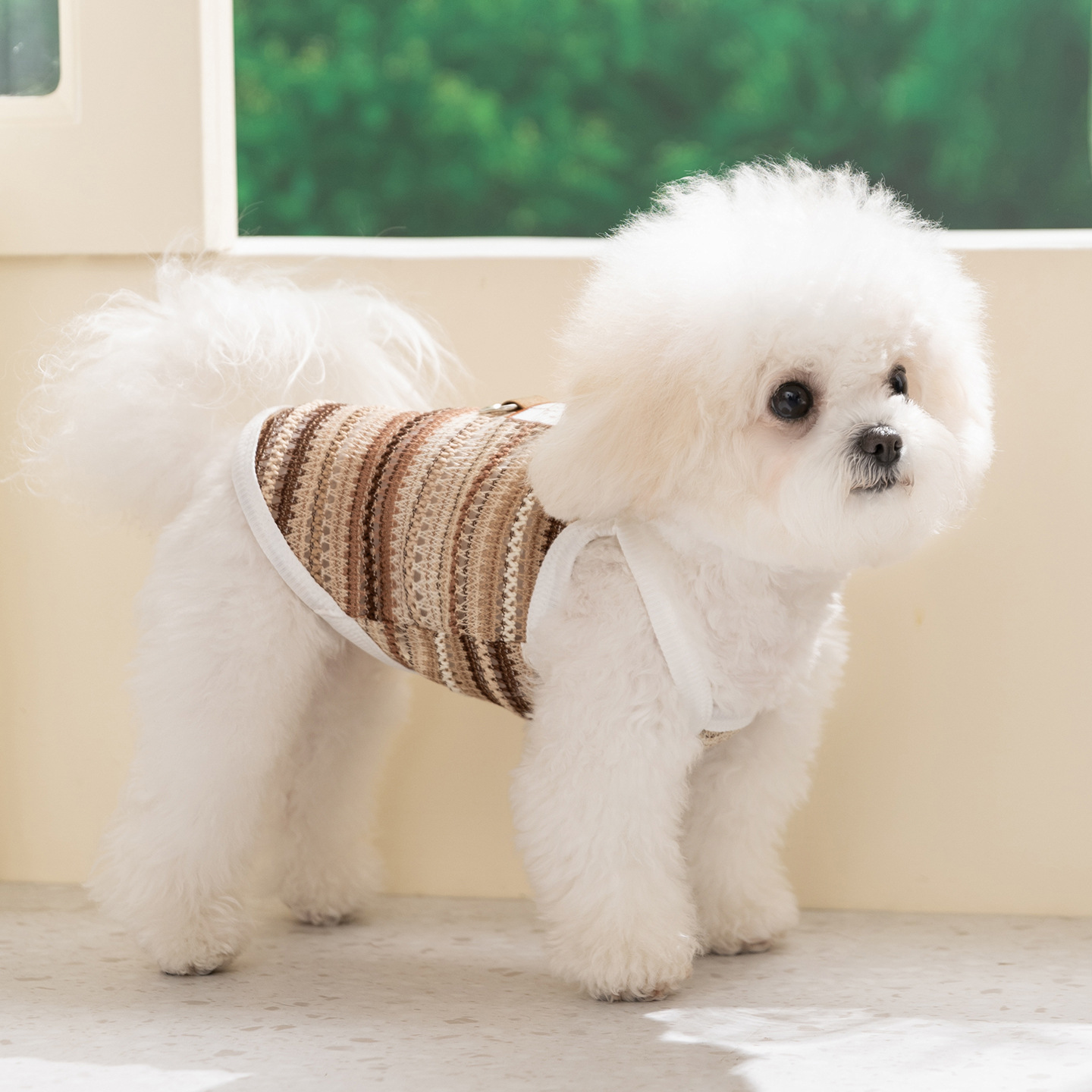 26 años de nuevo gato y perro ropa hueco malla primavera y verano tracción chaleco de tracción eslingas que osos Teddy ropa de mascotas