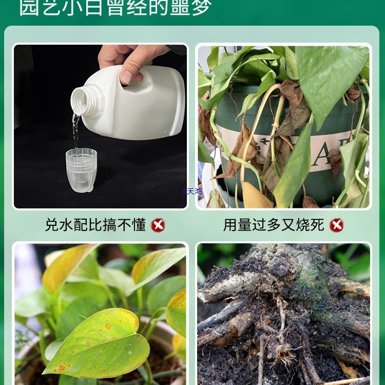 绿萝营养液免稀释绿萝肥料叶子发黄家用花卉盆栽液体肥