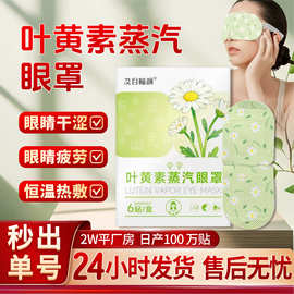 蒸汽眼罩叶黄素蒸汽眼罩缓解眼疲劳家用一次性发热护眼贴热敷眼罩