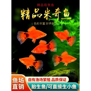 �t�����~̥���~С���~���w�Ꭷ�^�p�~�����~��ȸ�~���B�t���¹��~