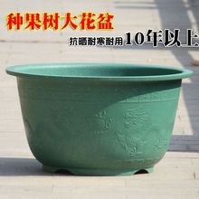 ����Nֲ����Ӻ��������ڏ�ͥԺ����ʮ��A�ηN��N�˶���