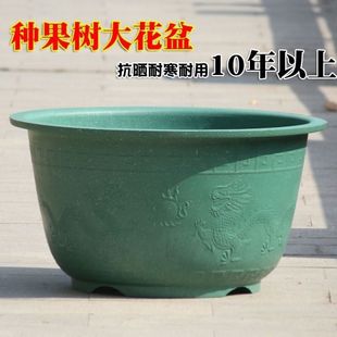 ����Nֲ����Ӻ��������ڏ�ͥԺ����ʮ��A�ηN��N�˶���