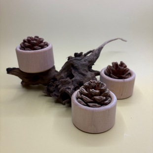 Beech Pine Cone Diffuser Wood Flameless Aromatherapy Bedroom Study Office Desk Decoration Diffuser Car Accessories Wood Crafts