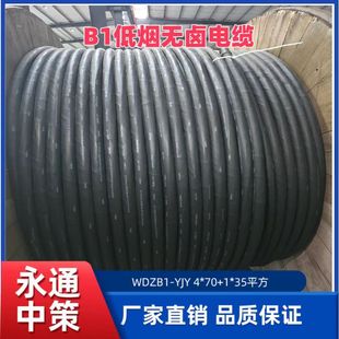 ���˵͟��o�uB1��| WDZB1-YJY4x70+1x35ƽ����ȼ�~��| Դ�^�S��