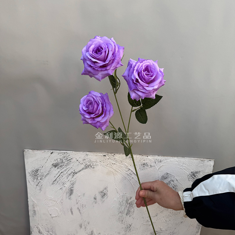 Real object without green leaves 3-head lover rose purple