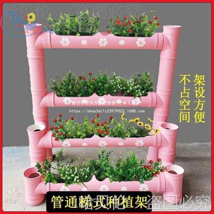 �ܷN�˷N����ͥ��ʽ�Nֲ�ˈ@�������ܵ�С�Nֲ�ˈ@�̨�N������