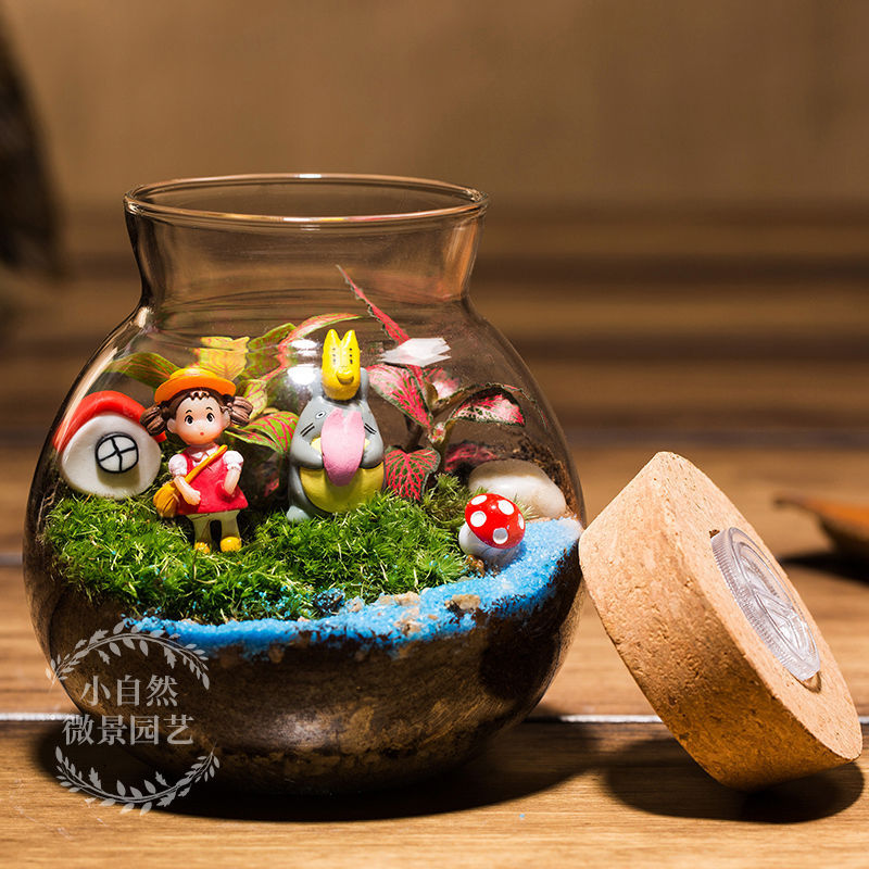 苔藓微景观带灯成品迷你植物材料包diy生态瓶制作小盆栽生日礼物