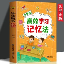 小学生高效学习记忆法 提高记忆力学习法养成学习习惯学霸养成