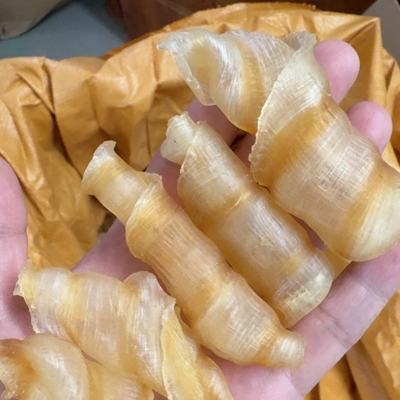 피닉스 테일 껌 60개/캣티