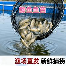 �����п���̖�a�~�繤���a�~��ˮ�Bֳ���~�����~�����������l