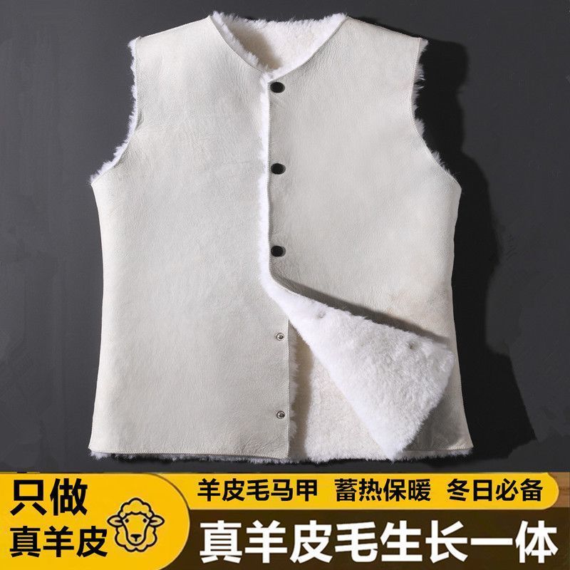 1纯羊皮毛马甲男女中老年坎肩整张羊皮毛一体保暖外套羊皮背心|undefined