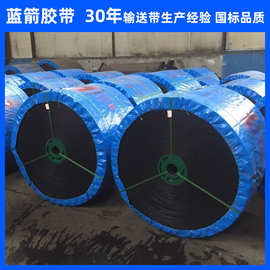 河北蓝箭厂家加工定制火电厂用分层聚酯带 EP300阻燃橡胶输送带