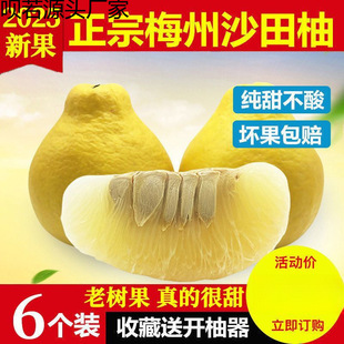 ÷��ɳ�������r����ˮ��÷�h���������l������С�ݿh����Դ�^��؛