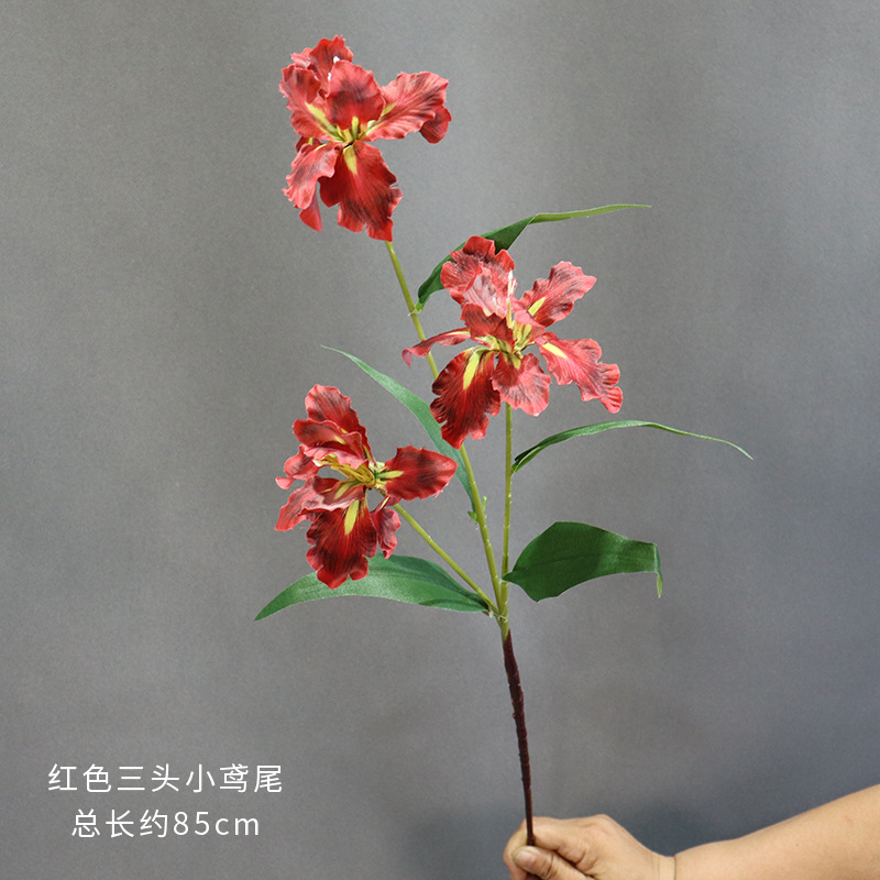 빨간색 세 갈래 미니 아이리스