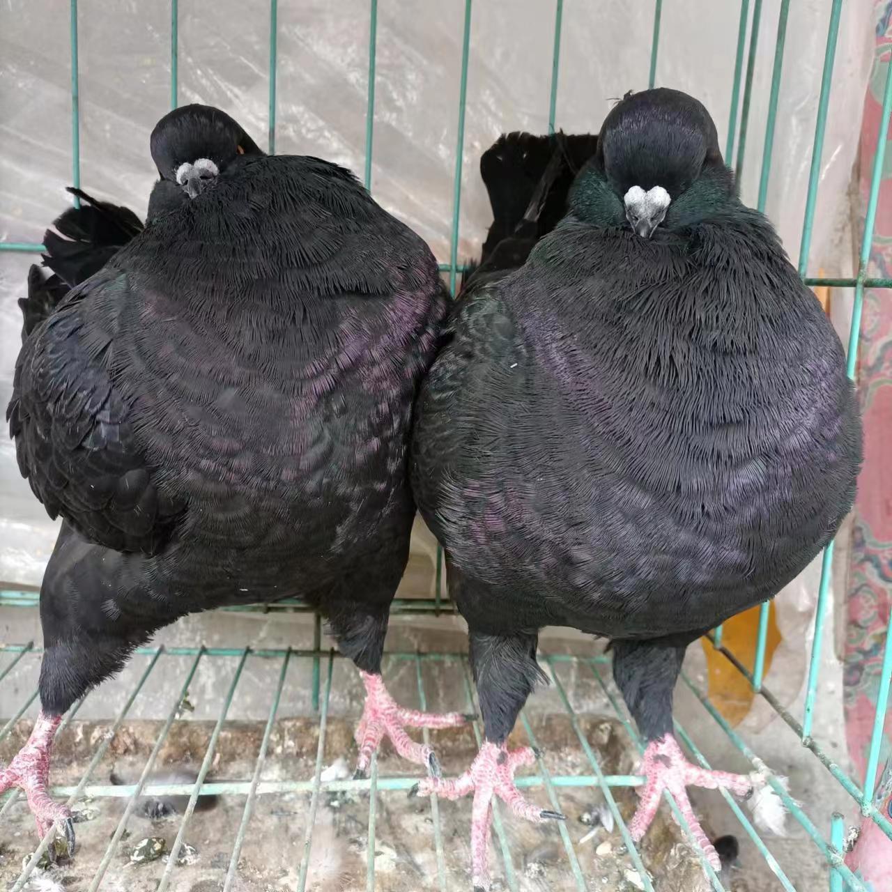 微信图片_20221007200205