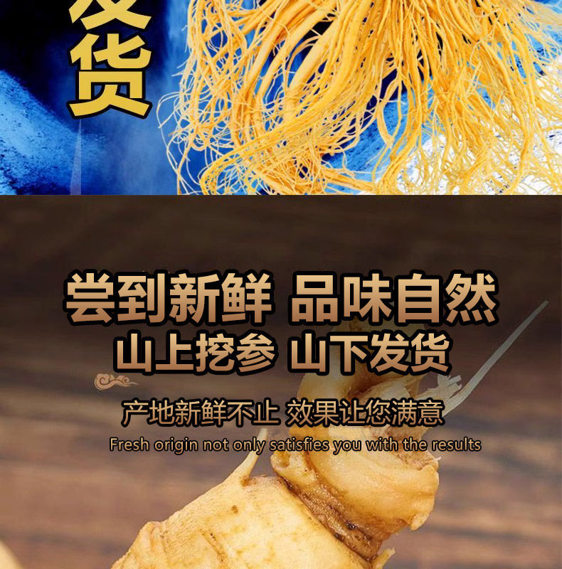 Ginseng Root Ren Shen 长白山人参 Whole Dried Root for Wine Infusion and Cooking 100g overview