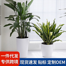 ��[ϵ�д�̖�ش�̖�����������ˮ���s���W�L���ʽ�Nֲ����