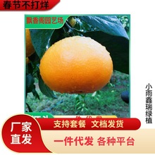 ���ڻʵ۸̘���V���������������Ƥ��۹���ؕ���Ϸ�ˮ��������