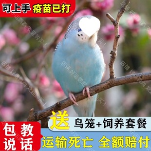 ��Ƥ�W�^�B�H�˸��������B�������r�ɷ�ֳ�µ����l�r