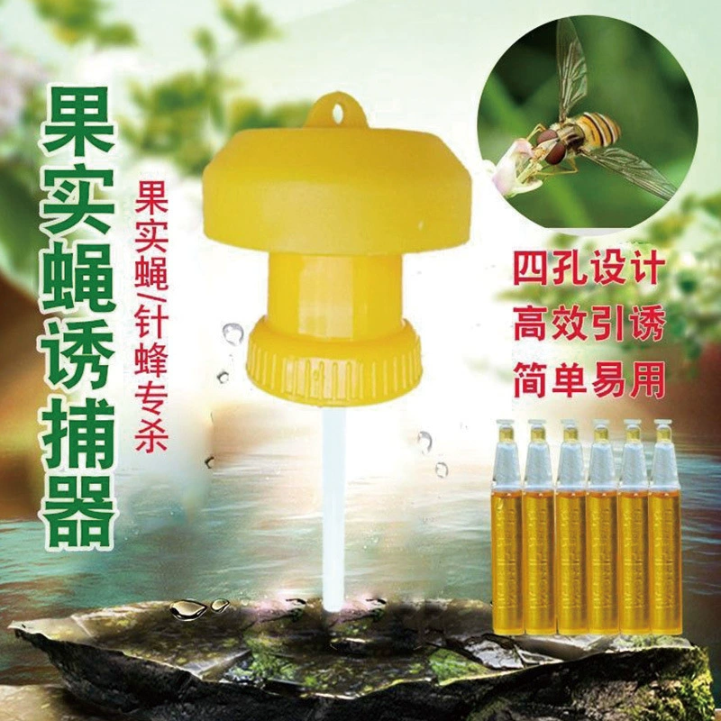 Трансграничная прямая ловушка для плодовой мухи