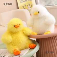 ��ż����ë�q�������˯�����l�����Lë���ϱ�ըë�նչ��S��̫��