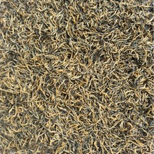 厂家供应柳州三江统芽2025年现货批发红茶茶叶量大价优