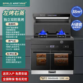 洛伟思火星人集成灶自动清洗猛火大吸力智能语音左烤右蒸蒸烤