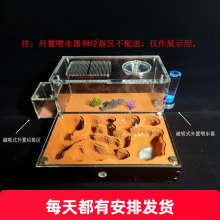 蚂蚁城堡M 混凝土巢双水塔宠物蚂蚁农场帝国生日礼物科普工坊