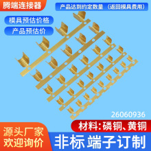 DJ454A/B/C黄铜包线端子 横连U型防水压线扣 冷压并线扣 量大价优