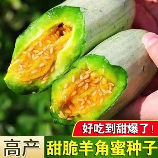 �羳����������۷N�ӹ�����ϷN�ӷN�����߲�������߮a��ϷN
