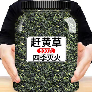 ���A�s�S����Ʒ��ș�Ĵ��ݲ��ؼ���Ұ���ٷ���Ş���B����β�