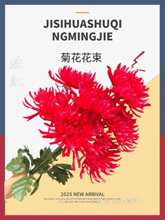 �������뽁����z�ջ��ω�������N�ɫ����Ĺ���bٻ�