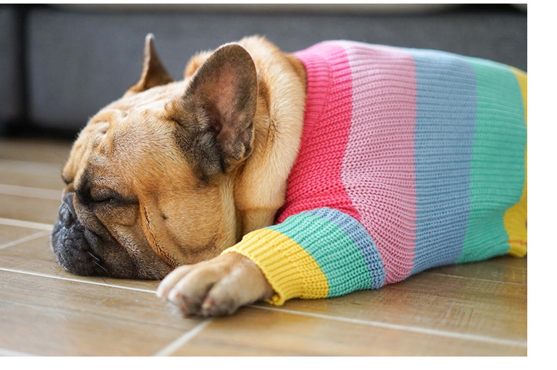 Rainbow Dog Sweater - Image 2