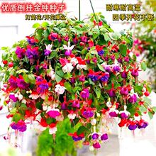 ������R���\�����N�ӵ��R�����׷N�҃��ֲ̨���ͺ����Ի��ݷN��