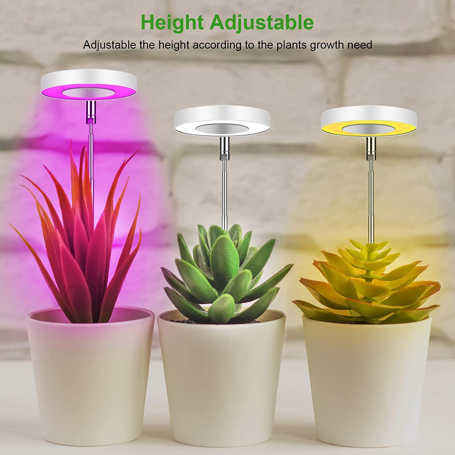 Plant lamp