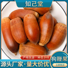 狗鞭果现货批发广西毛毛果风流果500g英雄泡酒中药材猪仔粒锁阳果
