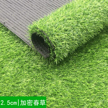 2.5cm���ܷ����ƺ���������Ƥ �׃��@ͥԺ���̇�����̺�S�����l