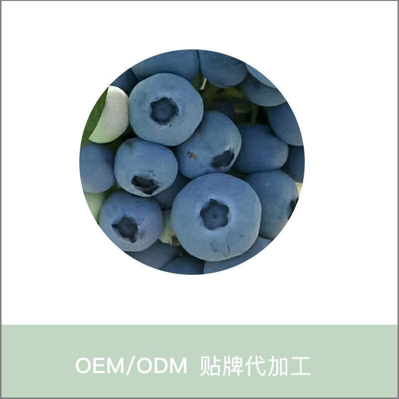 基地种植当年结果蓝莓苗钱德勒蓝莓园林大果苗 盆栽地栽果树苗